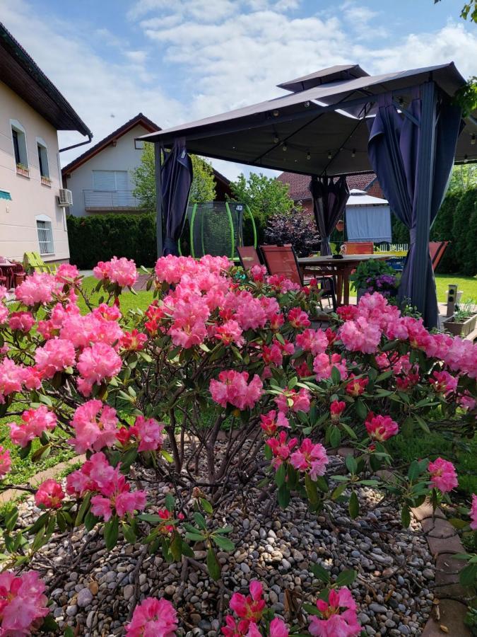 Appartement Apartma Zirovnik