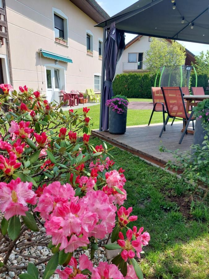 Apartma Zirovnik *