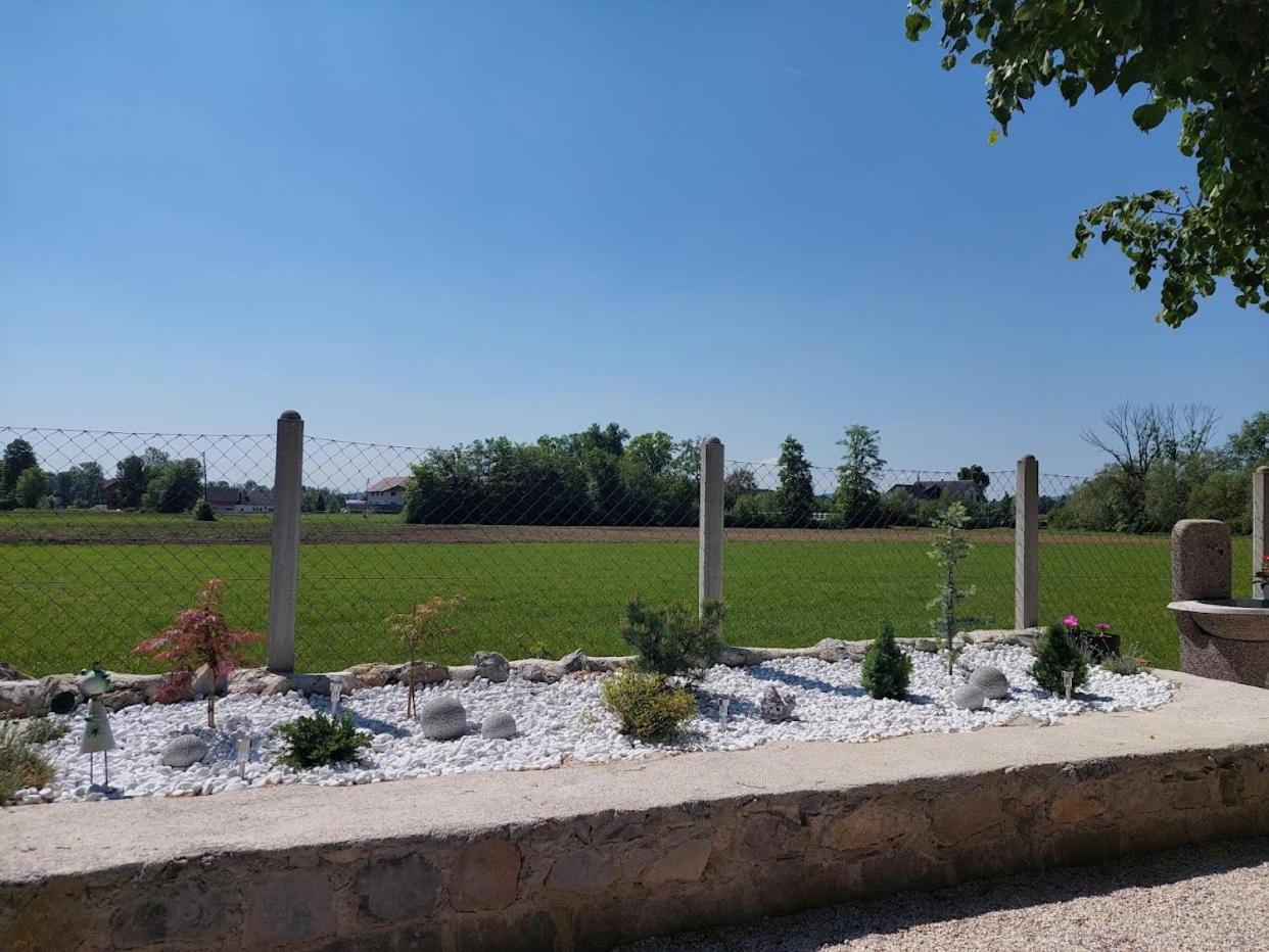 Appartamento Apartma Zirovnik *
