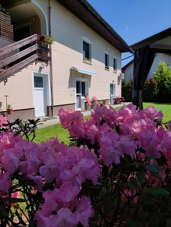 Apartma Zirovnik Appartamento Cerklje na Gorenjskem